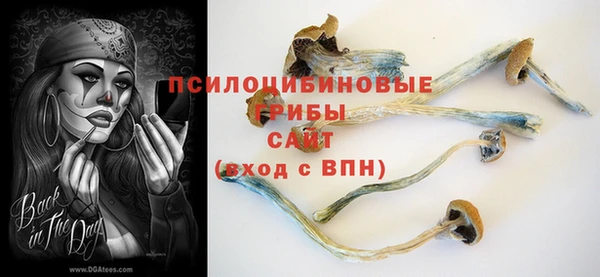 МДПВ Приозерск