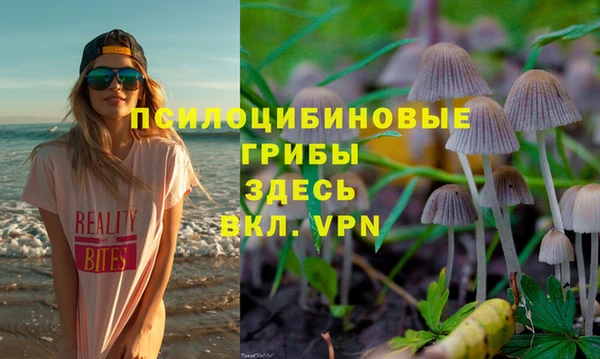 стафф Пролетарск