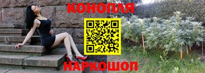 скорость Будённовск