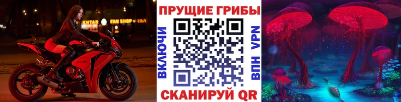Псилоцибиновые грибы Psilocybine cubensis  продажа наркотиков  Балашов 